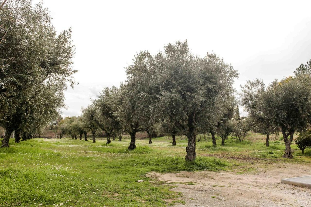 Quinta Chao Do Nabal ξενώνας Belmonte  Εξωτερικό φωτογραφία